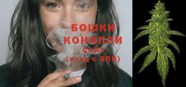 крисы Абдулино